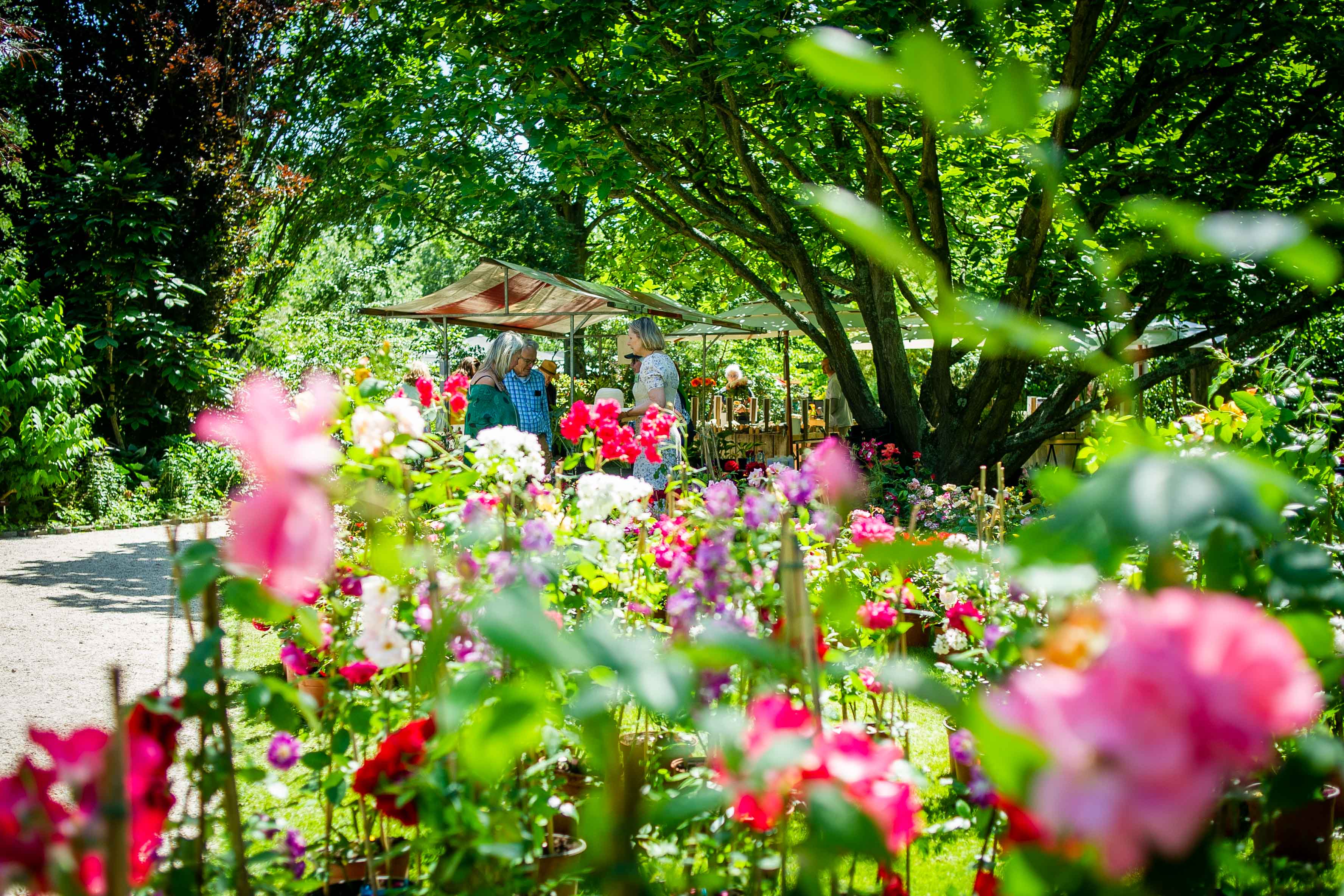 De Plantenmarkt