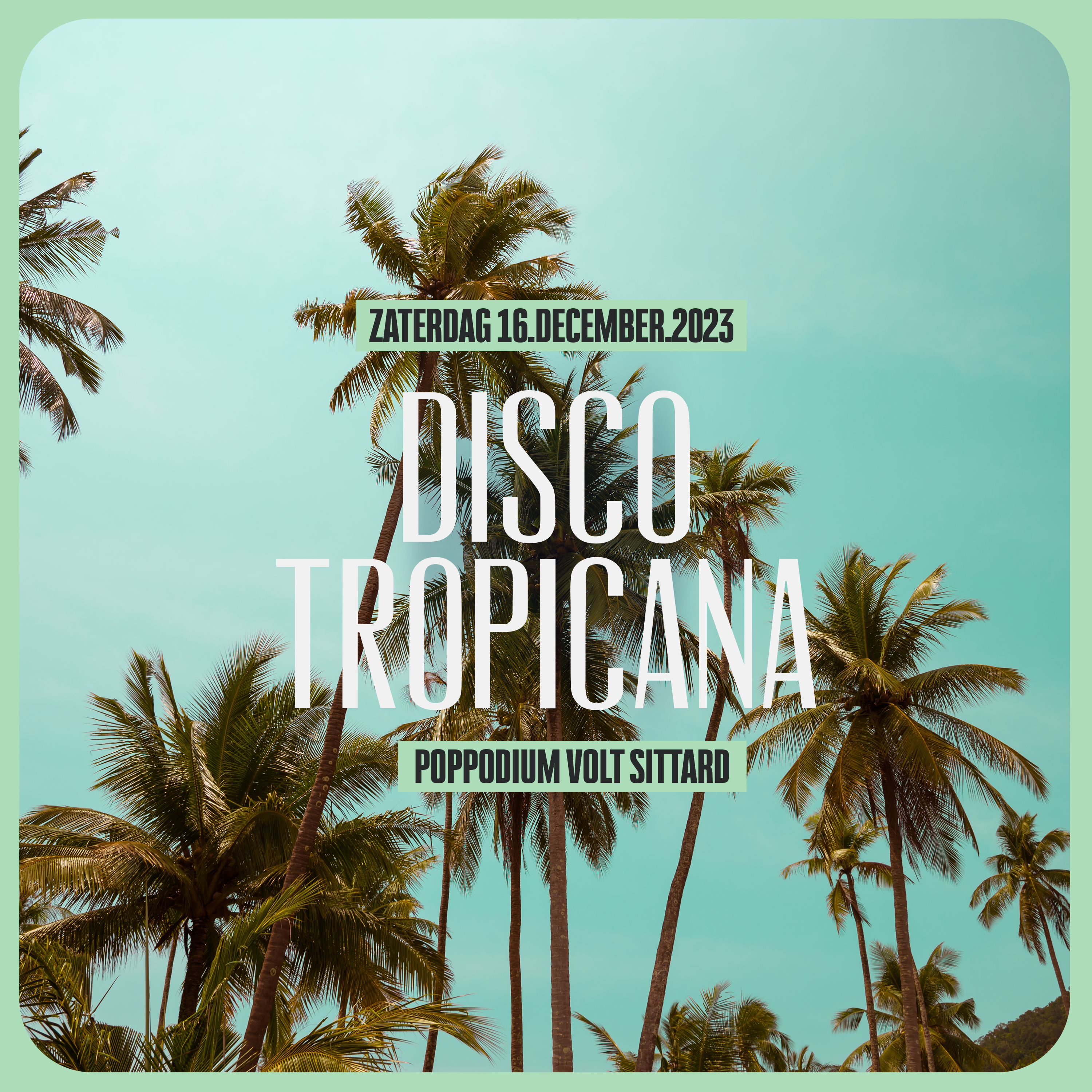 Disco Tropicana