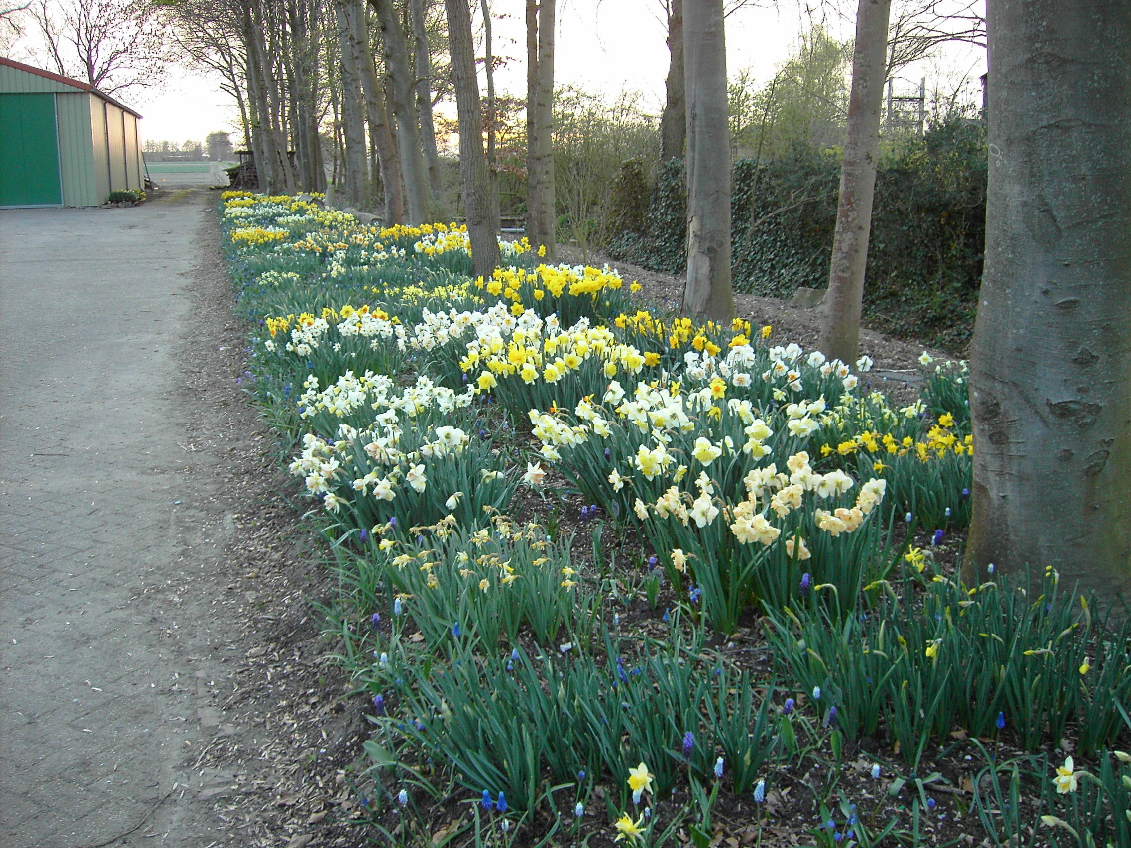 Tuinenroute binnen de Tulpenroute