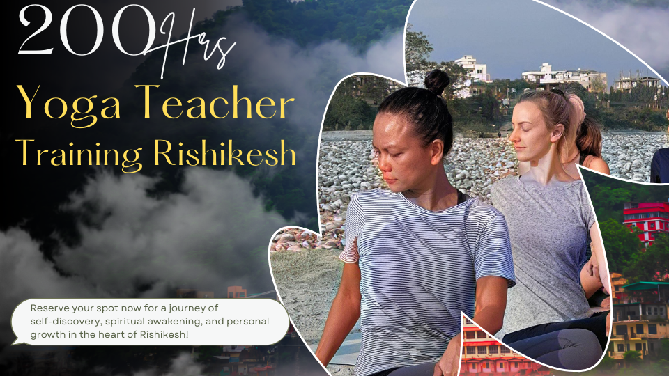 Yoga Teacher Training in Rishikesh India @699 USD