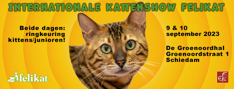 Internationale kattenshow Felikat