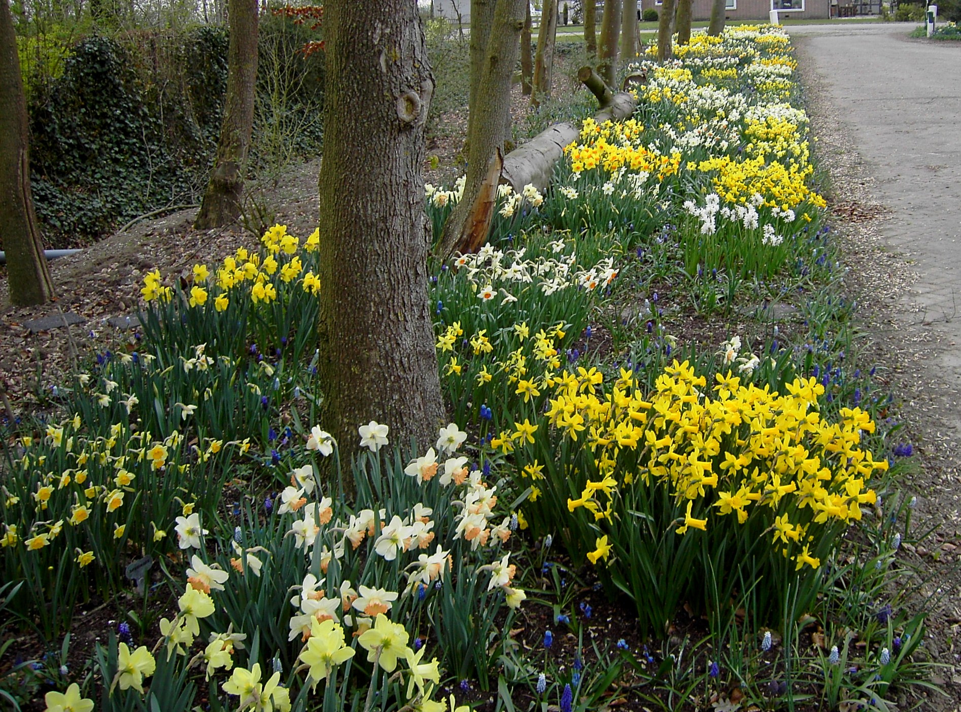 Tuinenroute binnen de Tulpenroute