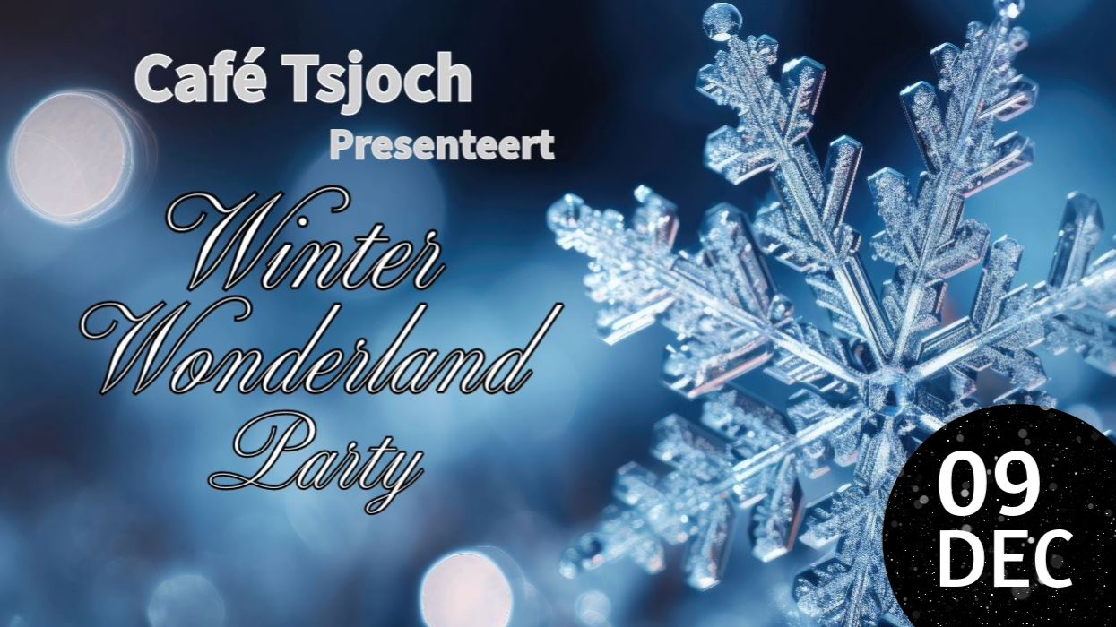 Winter Wonderland Party