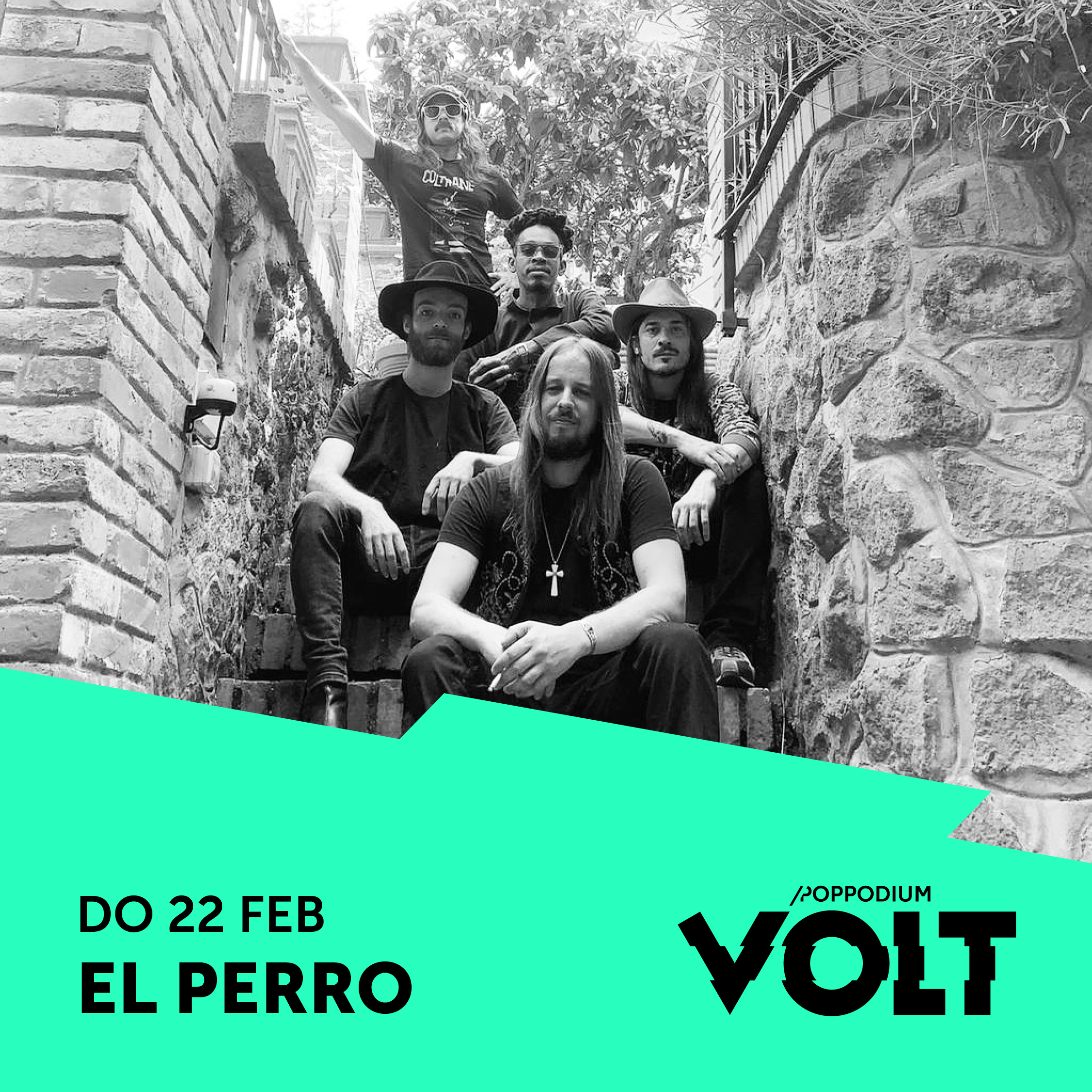 El Perro | Poppodium Volt Sittard-Geleen