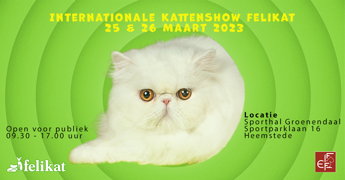 Internationale Kattententoonstelling Felikat