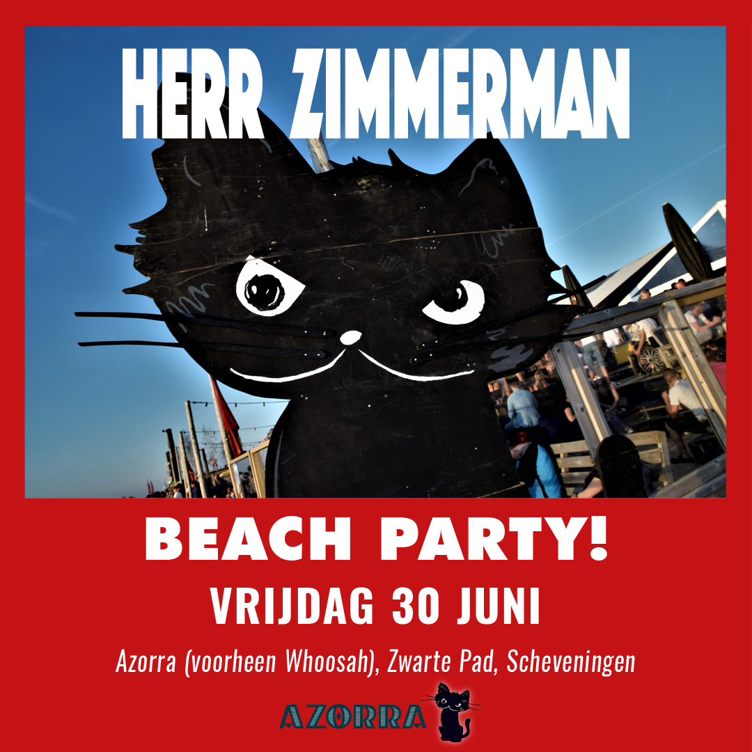 Herr Zimmerman Beach Party!